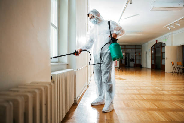 Best Real Estate Pest Inspections  in Wooster, AR